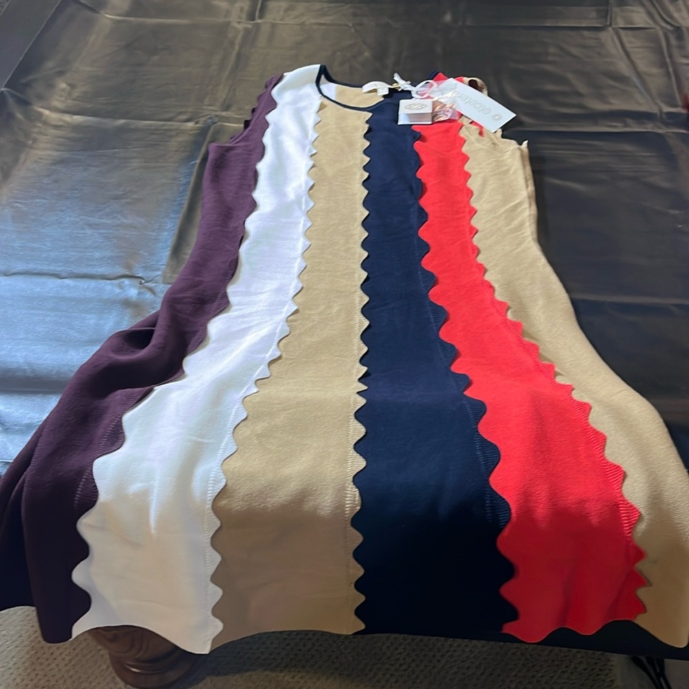 NWT Etcetera dress